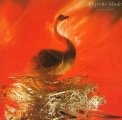 Speak And Spell
